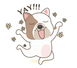 Mr. Dre the English Bulldog sticker #6984695