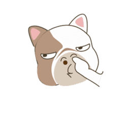 Mr. Dre the English Bulldog sticker #6984707