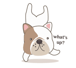 Mr. Dre the English Bulldog sticker #6984711