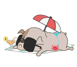 Mr. Dre the English Bulldog sticker #6984718