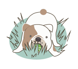 Mr. Dre the English Bulldog sticker #6984720