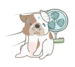 Mr. Dre the English Bulldog sticker #6984725