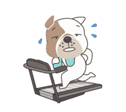 Mr. Dre the English Bulldog sticker #6984727