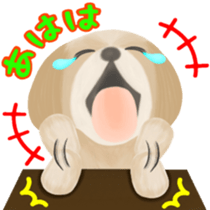 Lovely. Shih Tzu sticker #6985248