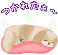 Lovely. Shih Tzu sticker #6985252