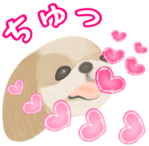 Lovely. Shih Tzu sticker #6985255