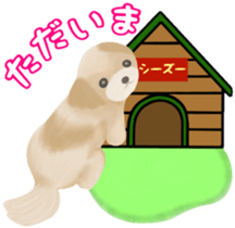 Lovely. Shih Tzu sticker #6985258