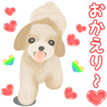 Lovely. Shih Tzu sticker #6985259