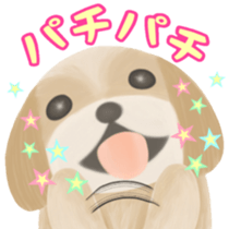 Lovely. Shih Tzu sticker #6985269