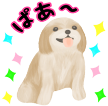 Lovely. Shih Tzu sticker #6985274