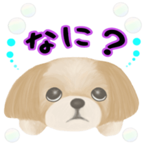 Lovely. Shih Tzu sticker #6985275