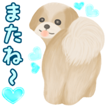 Lovely. Shih Tzu sticker #6985276