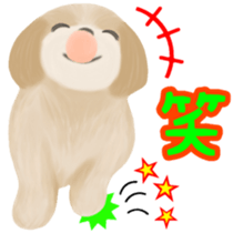 Lovely. Shih Tzu sticker #6985281