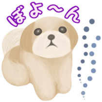 Lovely. Shih Tzu sticker #6985283