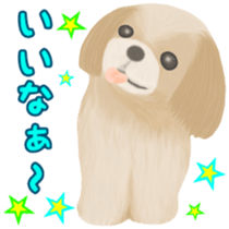 Lovely. Shih Tzu sticker #6985285