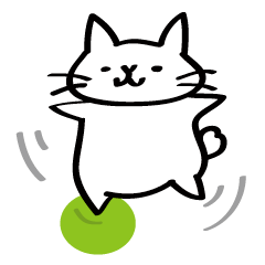 Everyday of salaried white cat mie