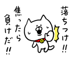 Chat Cat! sticker #6986857