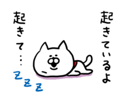 Chat Cat! sticker #6986874