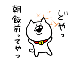 Chat Cat! sticker #6986882