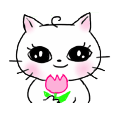 A white cat and cats of the friend part2