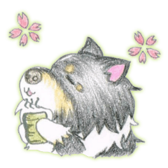 Shelties of cute eyebrows part2