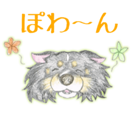 Shelties of cute eyebrows part2 sticker #6987608