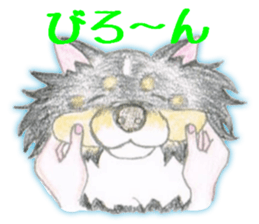 Shelties of cute eyebrows part2 sticker #6987609