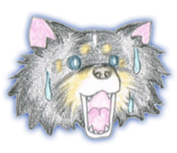 Shelties of cute eyebrows part2 sticker #6987612