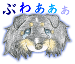 Shelties of cute eyebrows part2 sticker #6987615