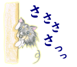 Shelties of cute eyebrows part2 sticker #6987618