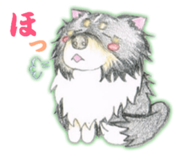 Shelties of cute eyebrows part2 sticker #6987619