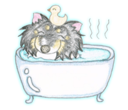 Shelties of cute eyebrows part2 sticker #6987628