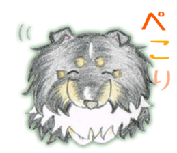 Shelties of cute eyebrows part2 sticker #6987634