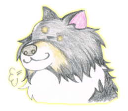 Shelties of cute eyebrows part2 sticker #6987644