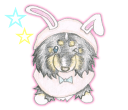 Shelties of cute eyebrows part2 sticker #6987647