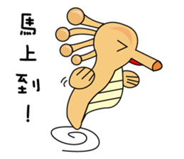 Whales and their friends sticker #6989311