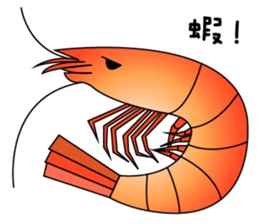 Whales and their friends sticker #6989316