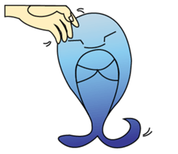 Whales and their friends sticker #6989324