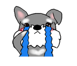 Schnauzer, Shizukutan.(English ver.) sticker #6989614