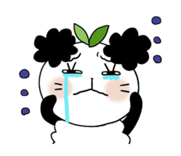 Panda of the Panda 6 , Revision sticker #6990593