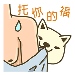 Shiba Inu Little Butt 5:Milk Sugar