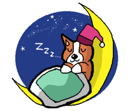 kawaii! corgi and chihuahua sticker #6991489