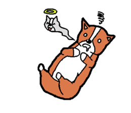 kawaii! corgi and chihuahua sticker #6991499
