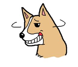 kawaii! corgi and chihuahua sticker #6991513