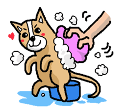 kawaii! corgi and chihuahua sticker #6991516