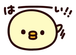 Piyo this sticker. sticker #6993010