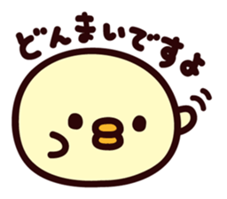 Piyo this sticker. sticker #6993028