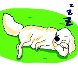 Fan second version of the retriever sticker #6993509