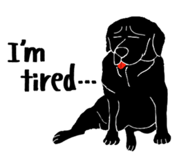 Fan second version of the retriever sticker #6993521