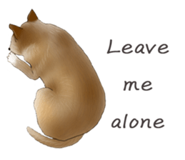 The cool dog-Jessie sticker #6995215